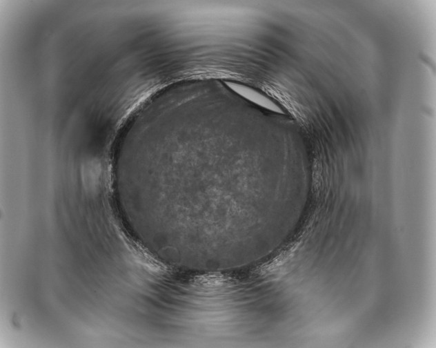 X0000096430351200802071731