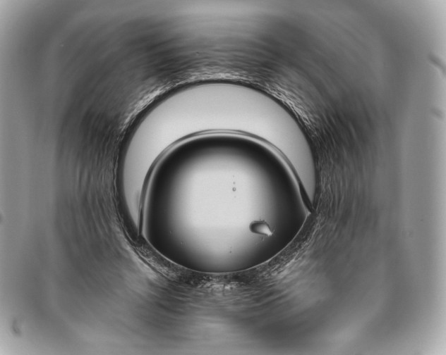 X0000096430352200802071731