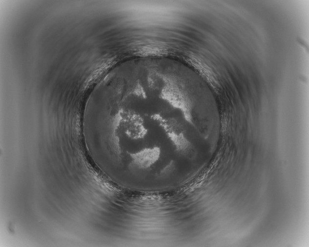 X0000096430353200802071731