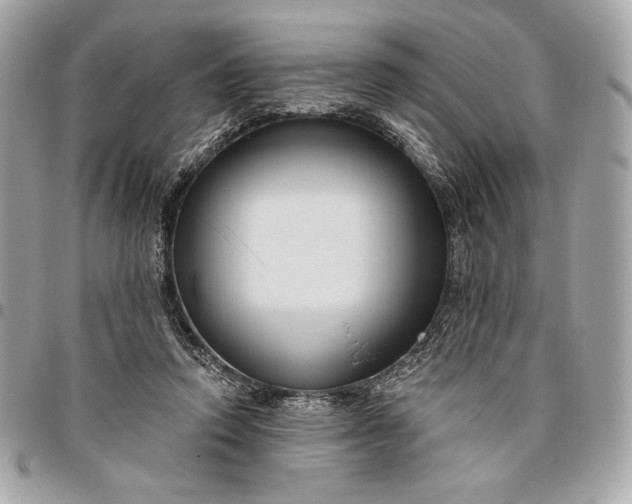 X0000096430354200802071731