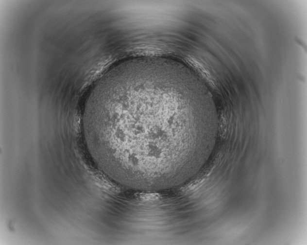 X0000096430355200802071731
