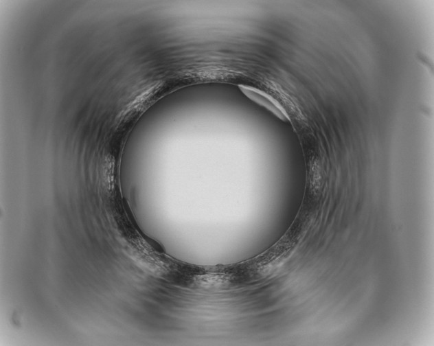 X0000096430356200802071731
