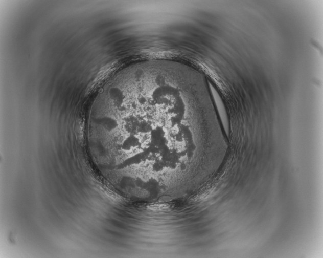 X0000096430357200802071731
