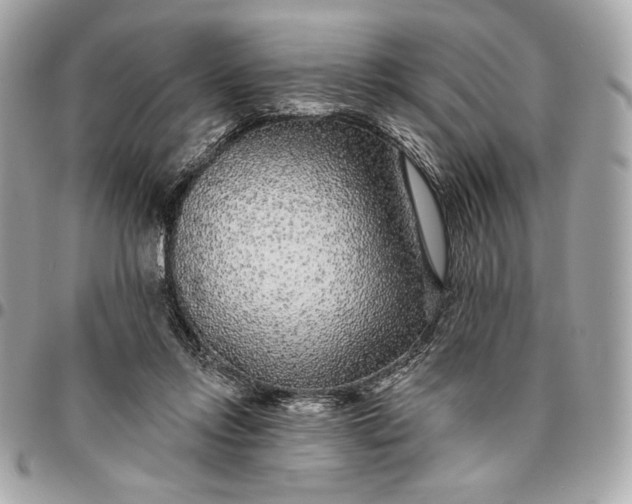 X0000096430358200802071731