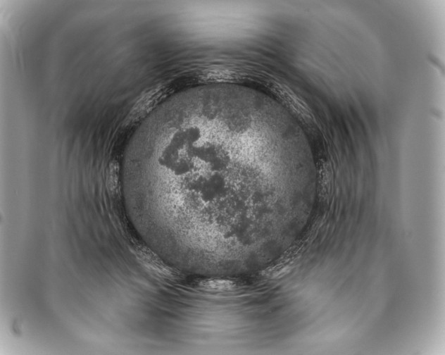 X0000096430361200802071731