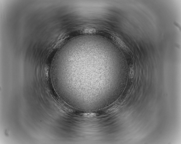 X0000096430363200802071731