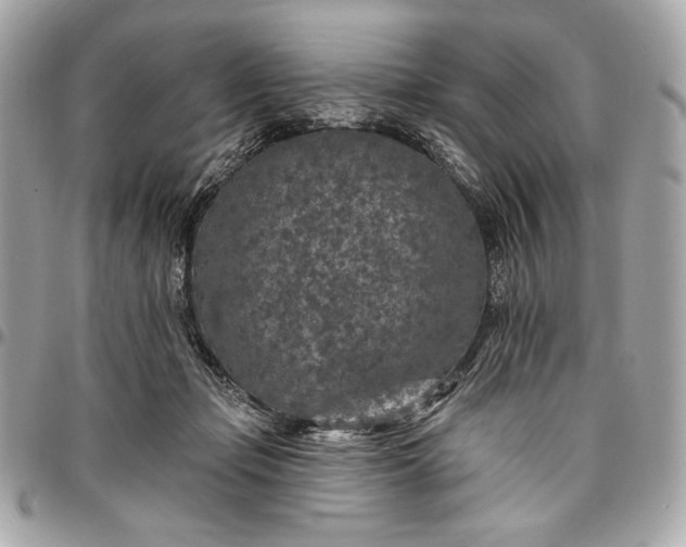 X0000096430365200802071731