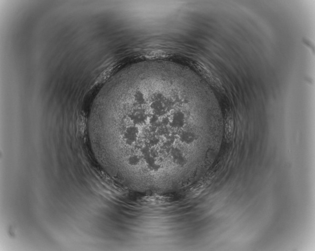 X0000096430367200802071731
