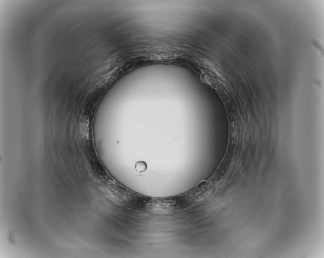 X0000096430368200802071731