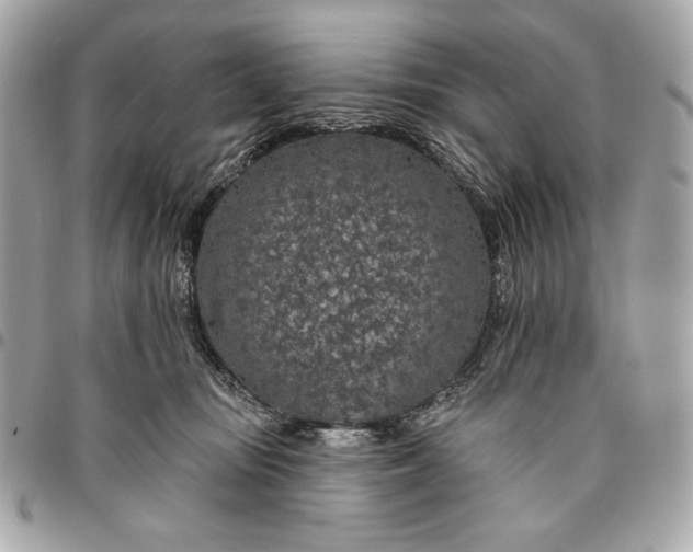 X0000096430371200802071731