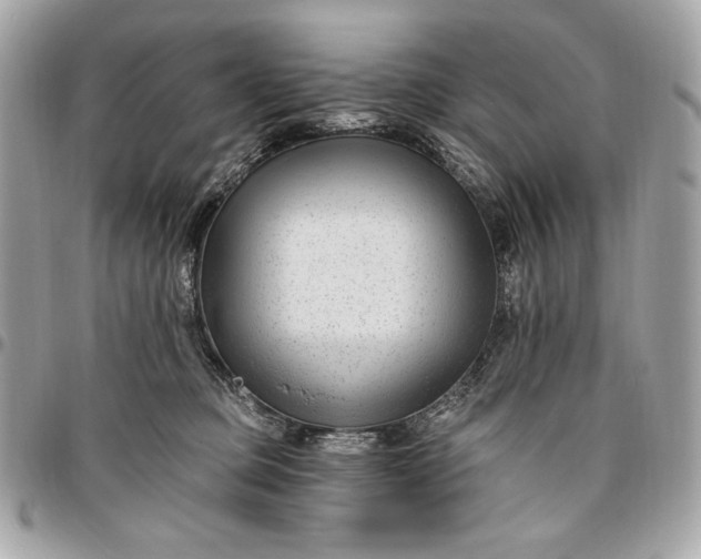 X0000096430373200802071731