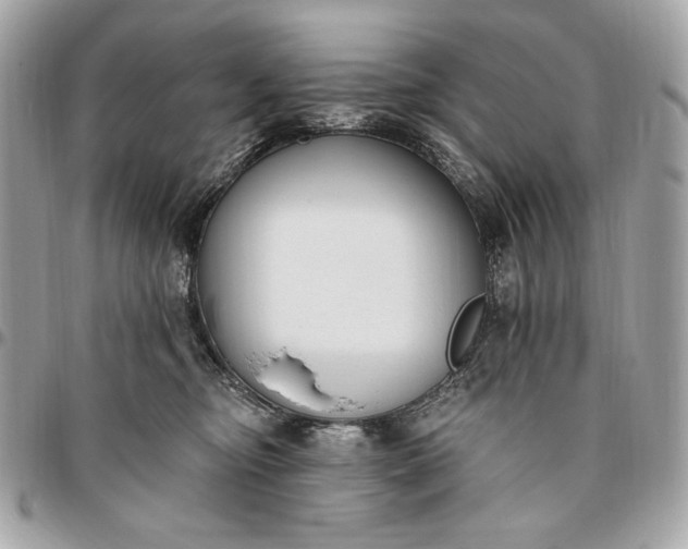 X0000096430374200802071731