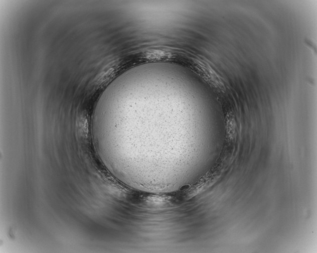 X0000096430375200802071731