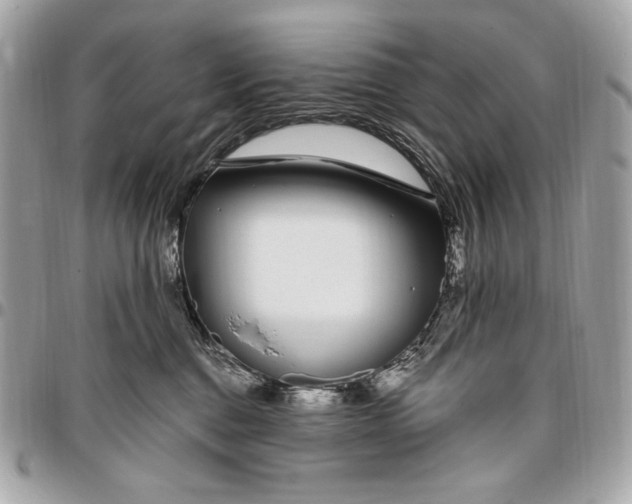 X0000096430376200802071731