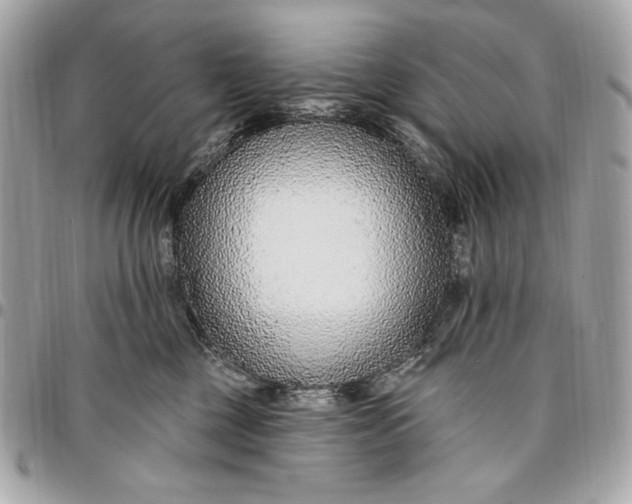 X0000096430377200802071731
