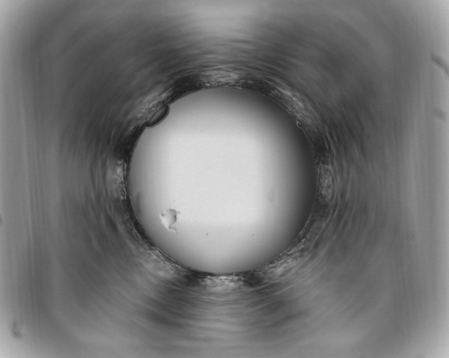 X0000096430378200802071731