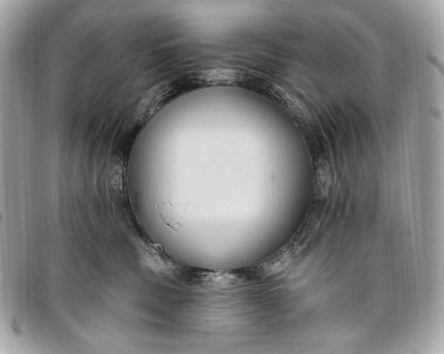 X0000096430379200802071731