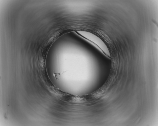 X0000096430380200802071731