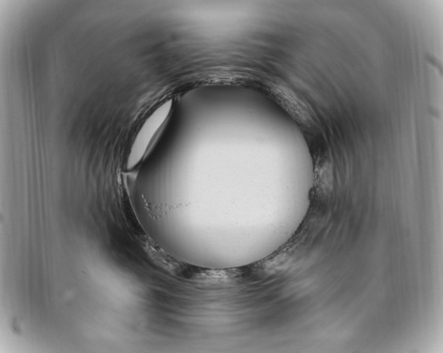 X0000096430381200802071731