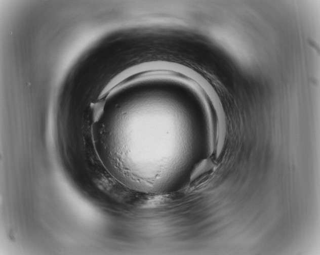 X0000096430382200802071731