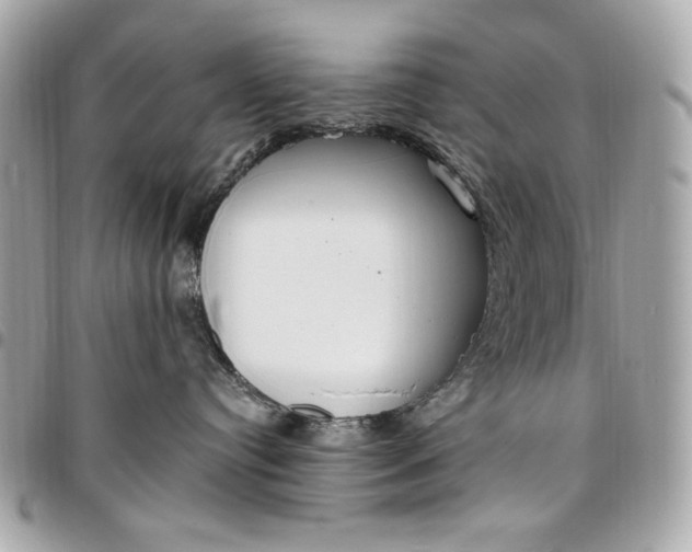 X0000096430384200802071731