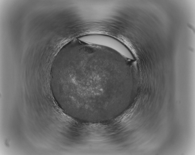 X0000096430385200802071730
