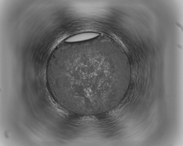 X0000096430386200802071730