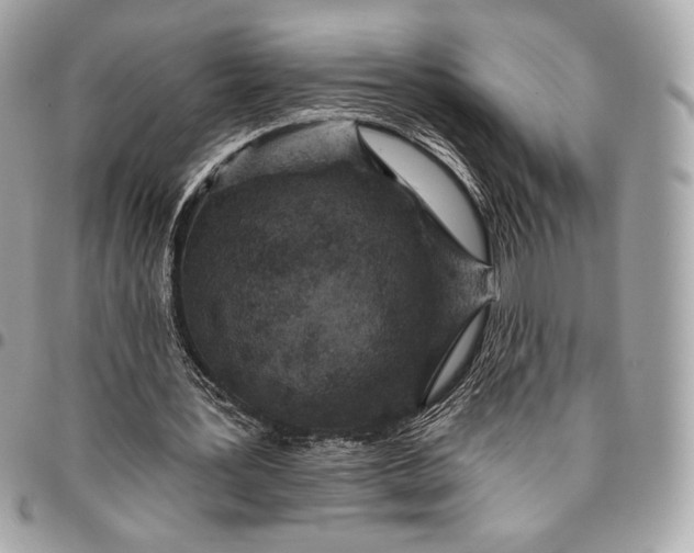 X0000096430387200802071730