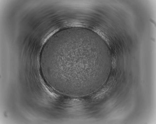X0000096430390200802071730