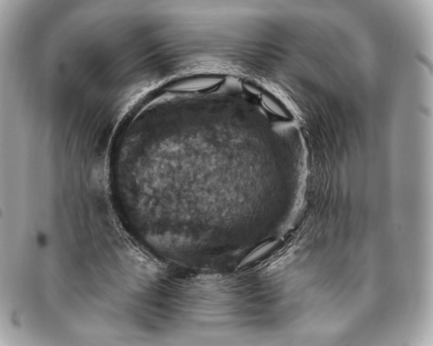 X0000096430391200802071730