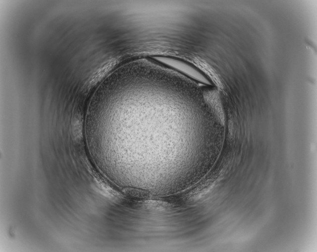 X0000096430393200802071730