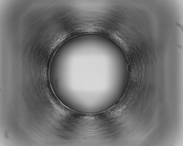 X0000096430394200802071730