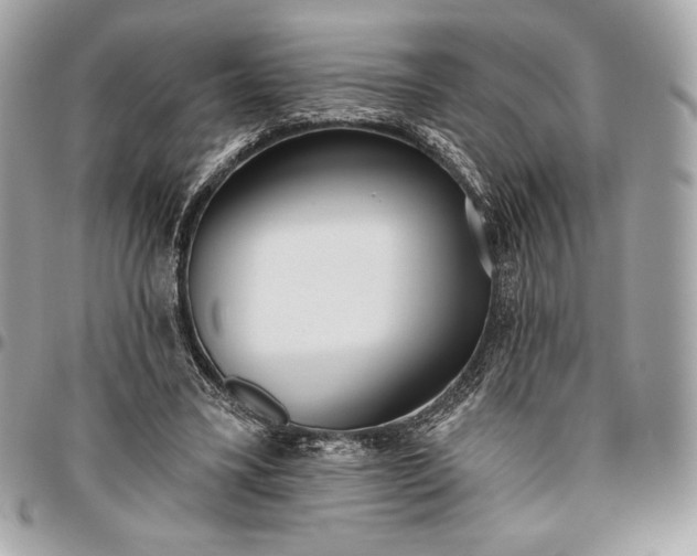 X0000096430395200802071730