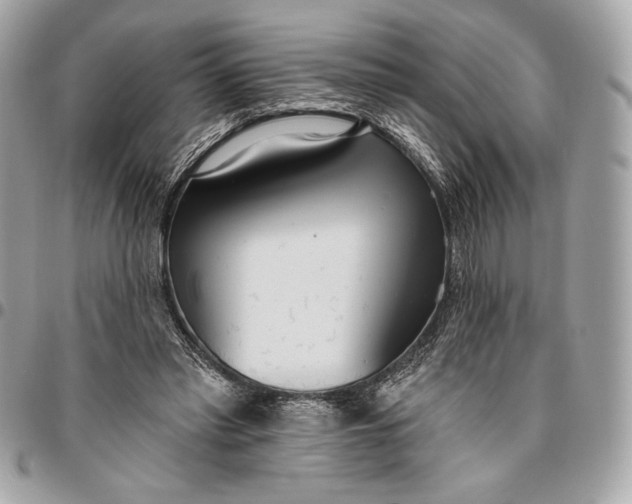 X0000096430397200802071730