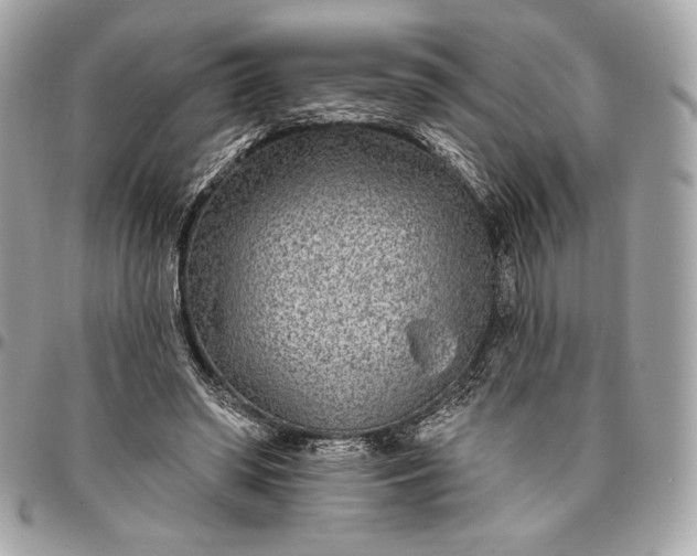 X0000096430398200802071730