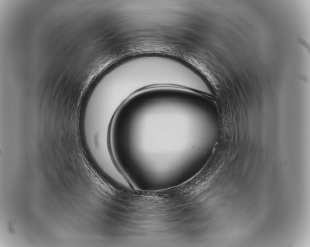 X0000096430399200802071730