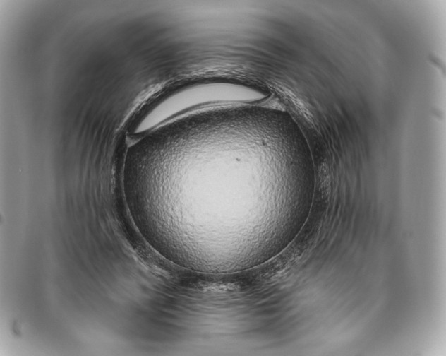 X0000096430400200802071730