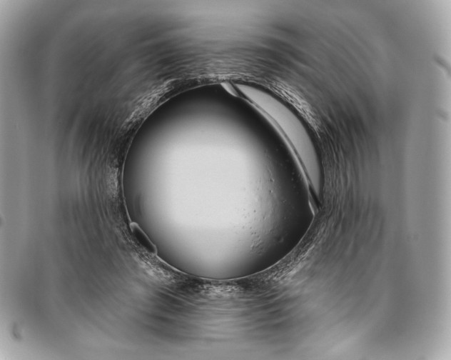 X0000096430401200802071730