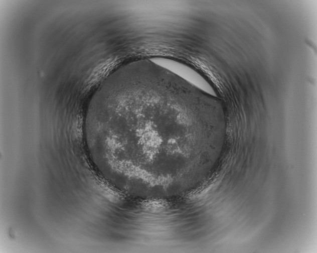 X0000096430402200802071730