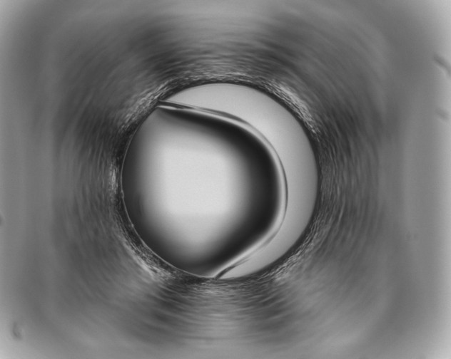 X0000096430405200802071730
