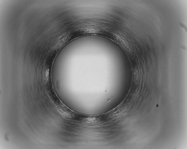 X0000096430406200802071730