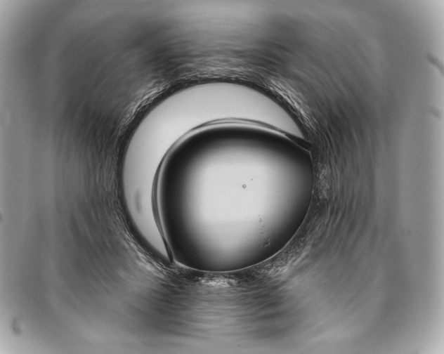 X0000096430407200802071730