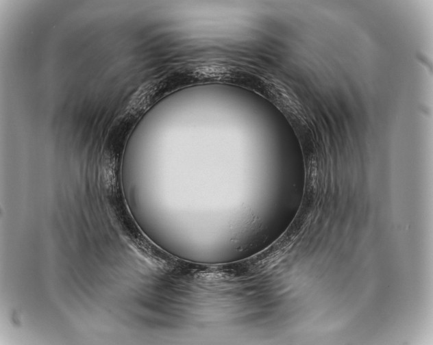 X0000096430408200802071730