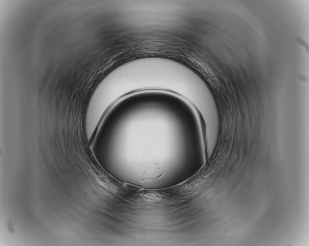 X0000096430409200802071730
