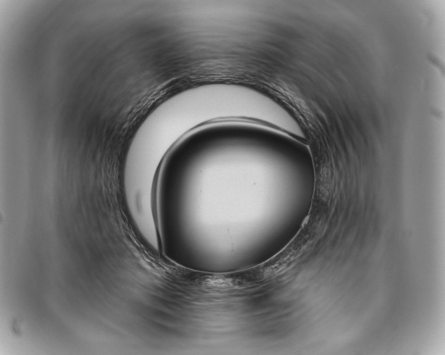 X0000096430413200802071730