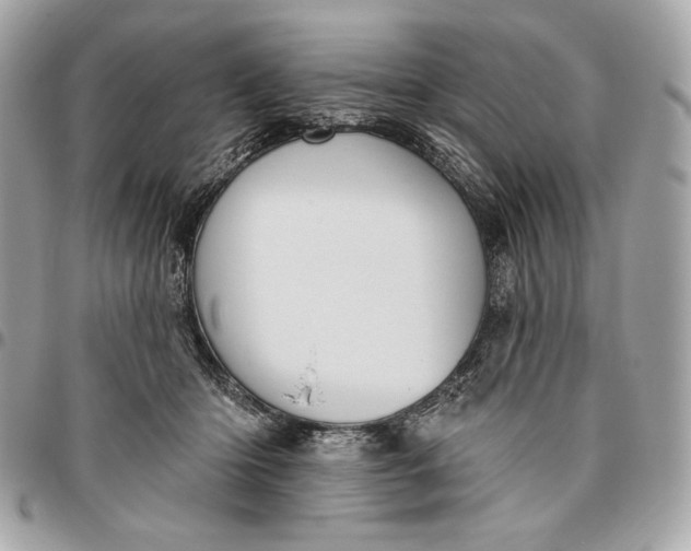 X0000096430414200802071730