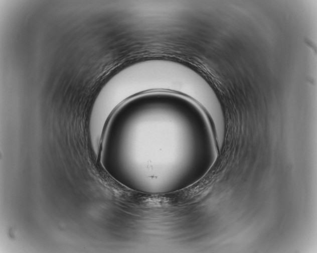 X0000096430415200802071730