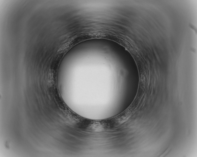 X0000096430416200802071730