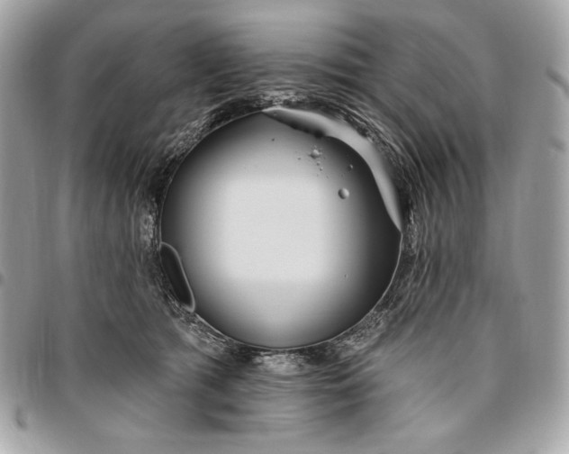 X0000096430417200802071730