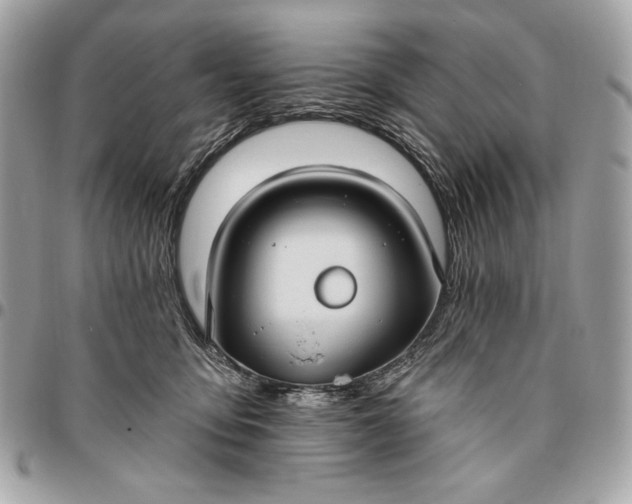 X0000096430419200802071730